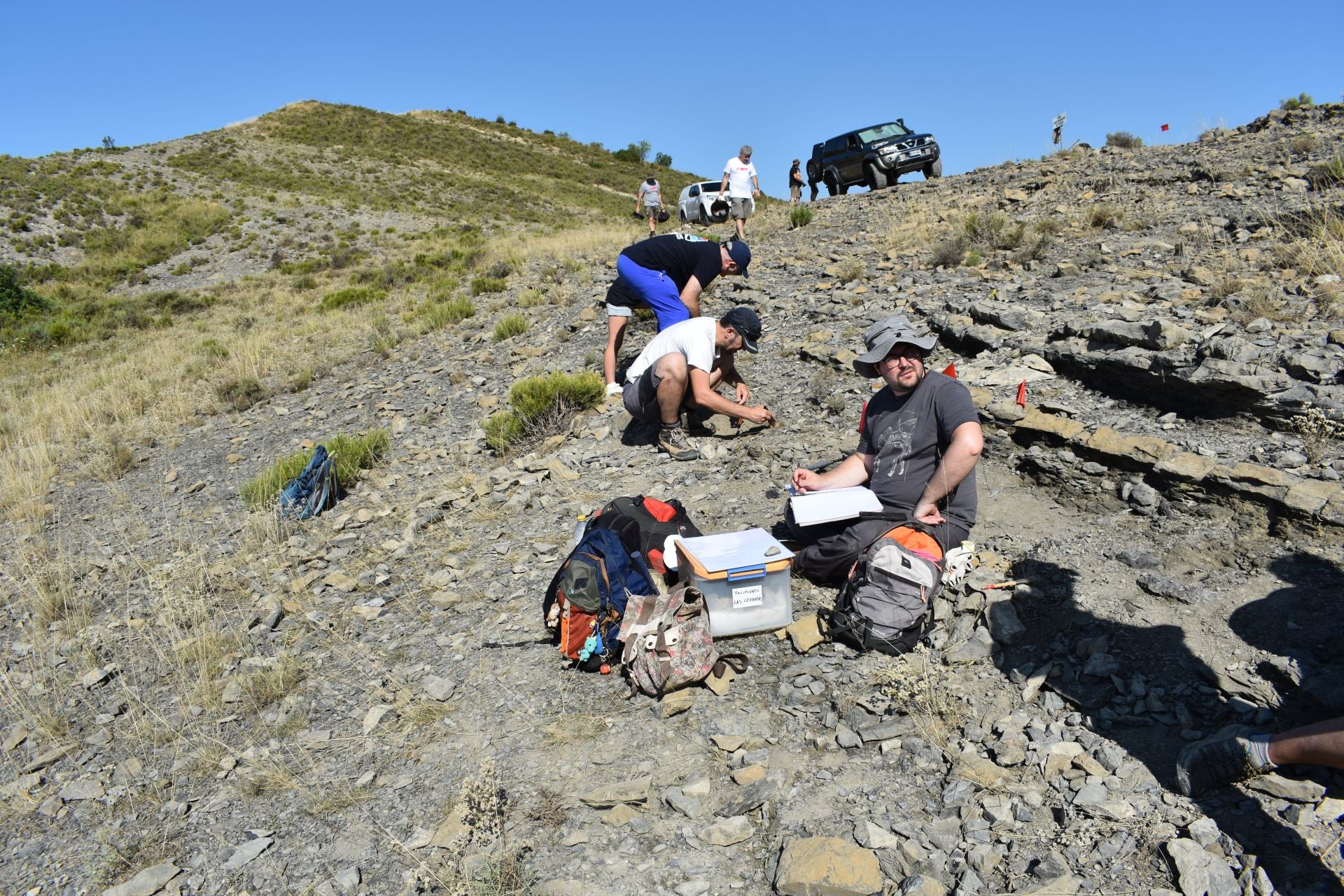Imágenes de la excavación de Las Cerradas de Igea