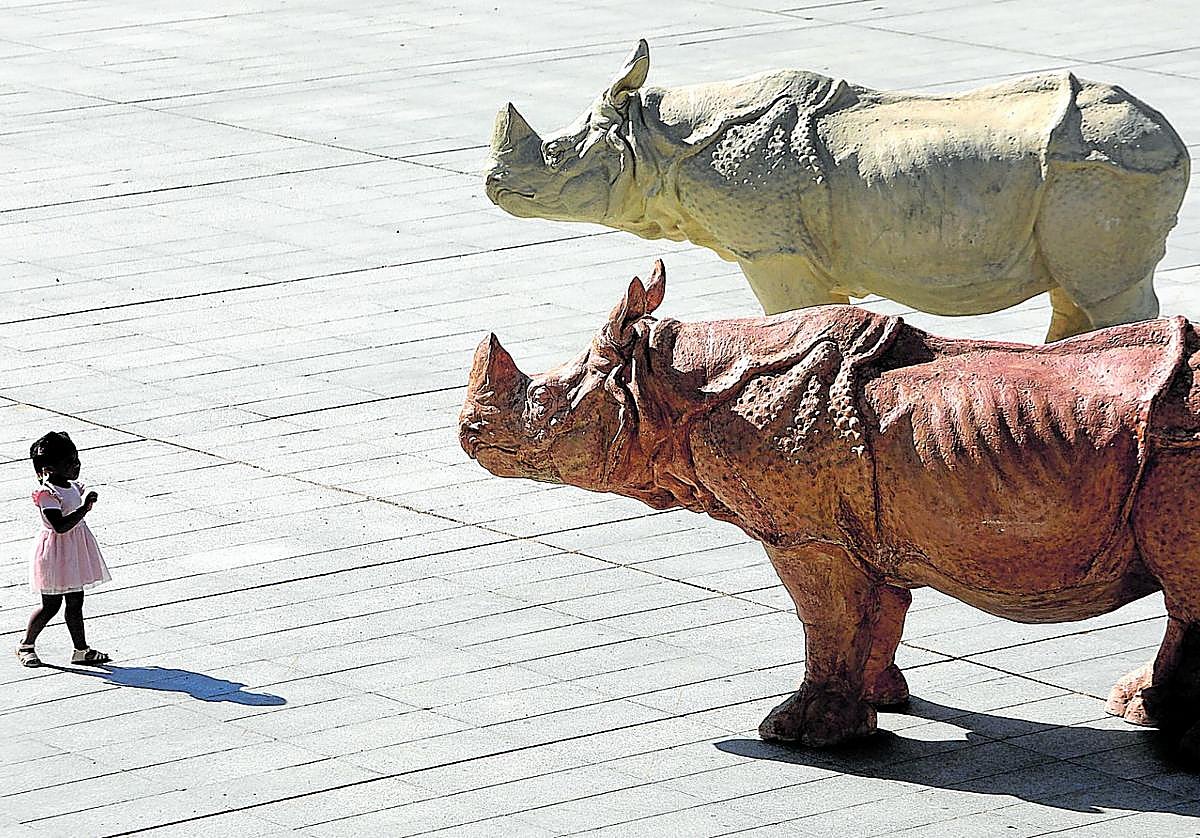 La exposición de rinocerontes se ha instalado en la plaza del Ayuntamiento.