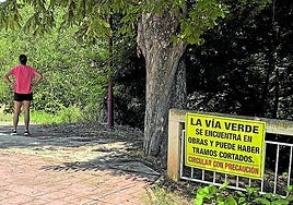 Un cartel anuncia el inicio de las obras en el paseo Vista Alegre.