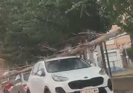 La dana deja fuertes lluvias, viento y algo de pedrisco en La Rioja Baja