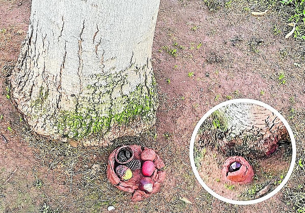 Objetos junto a los árboles en la avenida de Moncalvillo, hoy en La Guindilla.