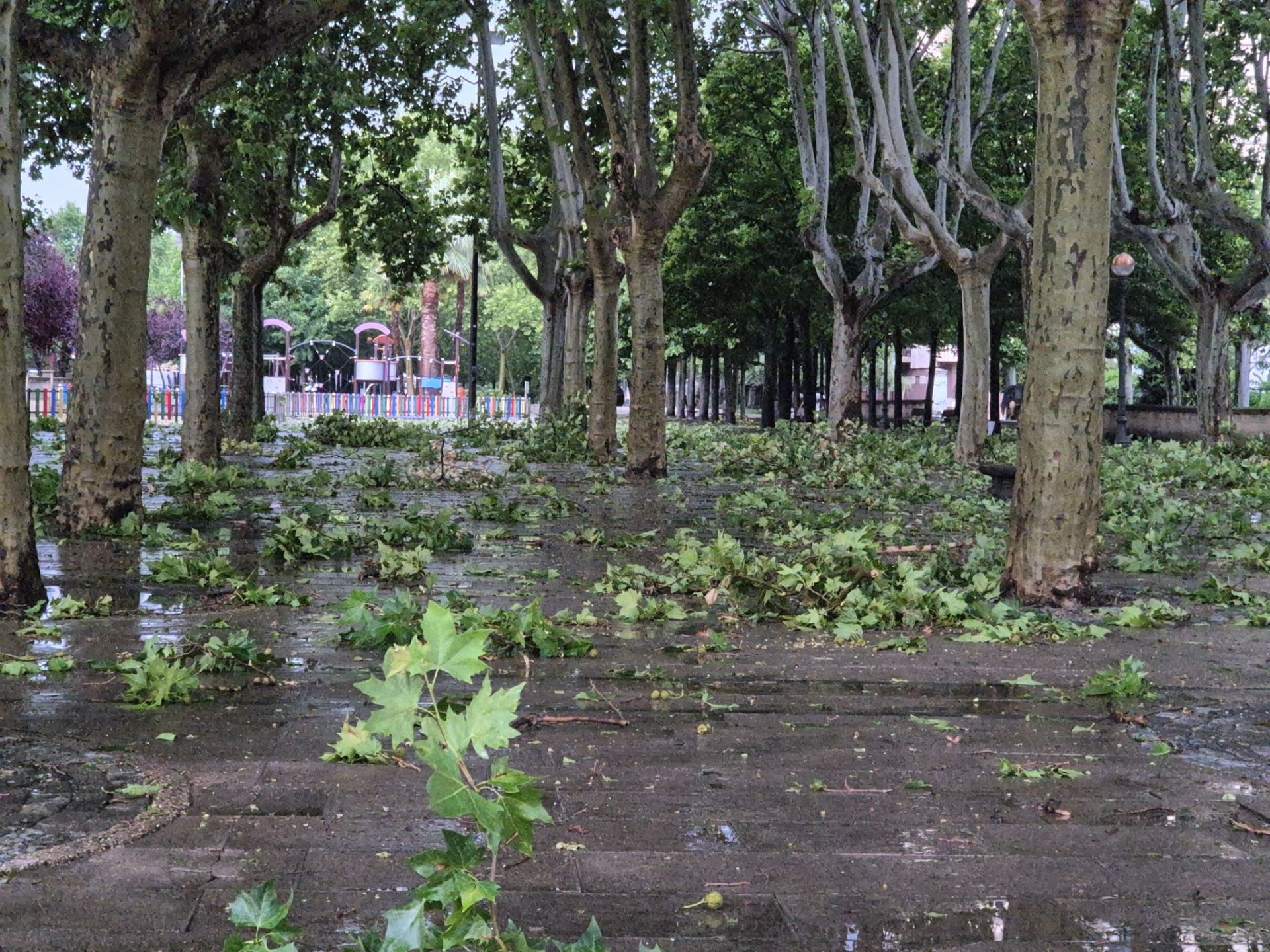 Las imágenes de la fuerte tormenta caída en Logroño