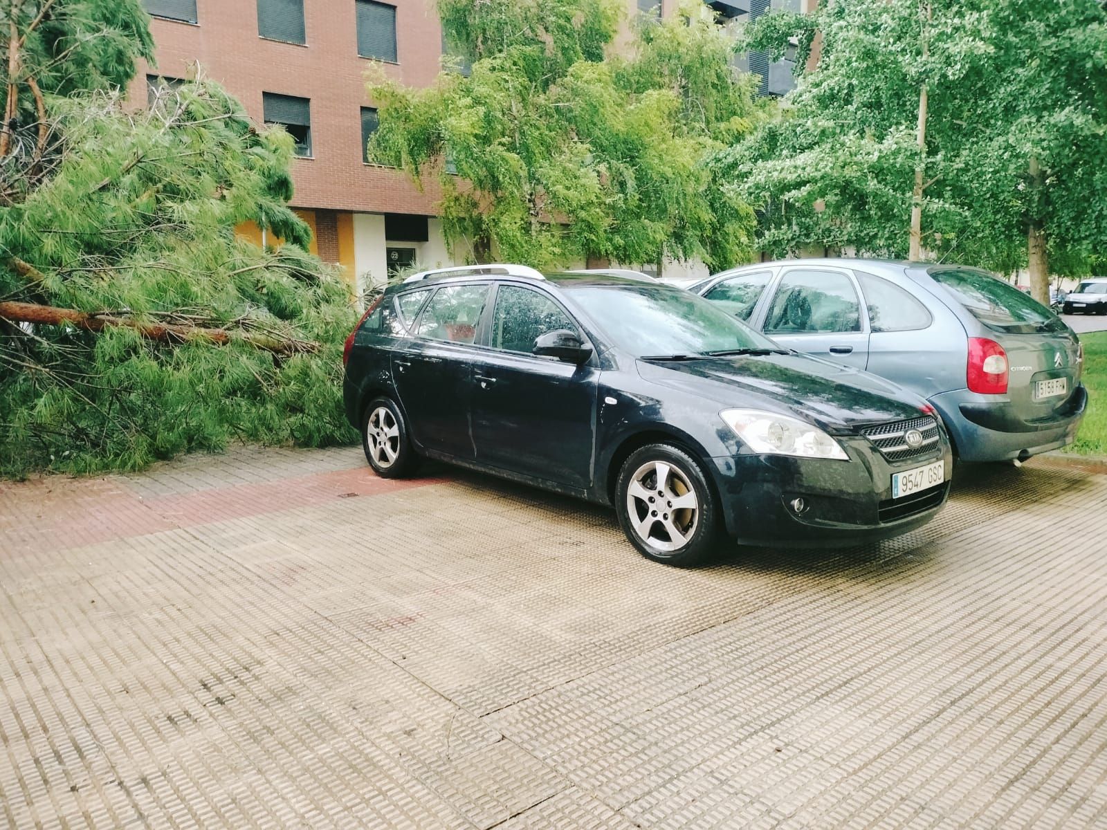 Las imágenes de la fuerte tormenta caída en Logroño