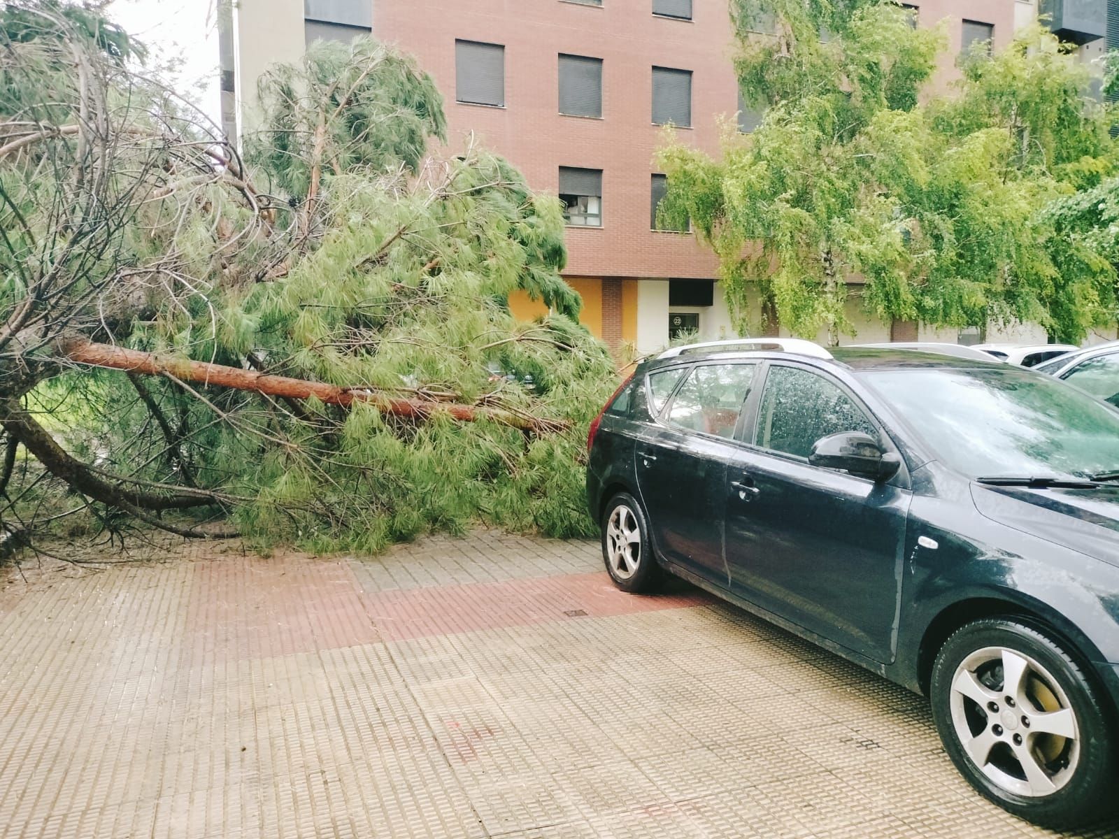 Las imágenes de la fuerte tormenta caída en Logroño