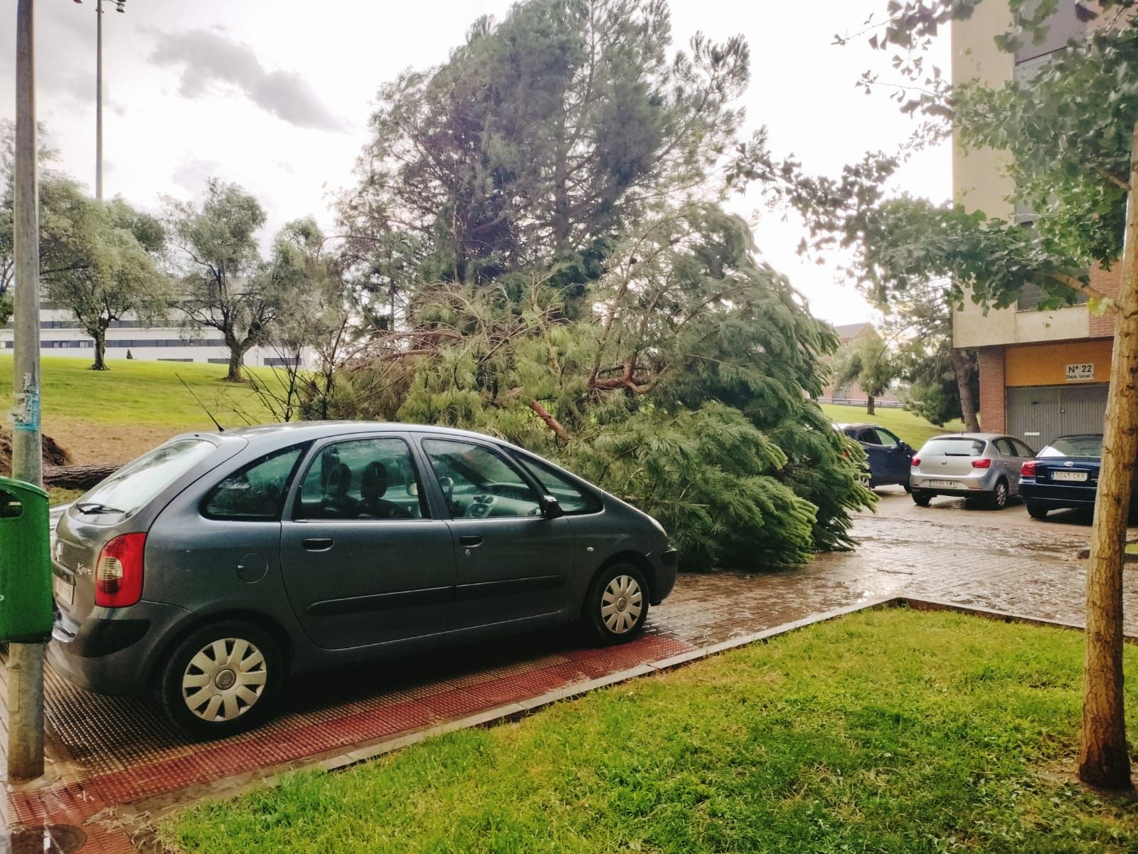 Las imágenes de la fuerte tormenta caída en Logroño