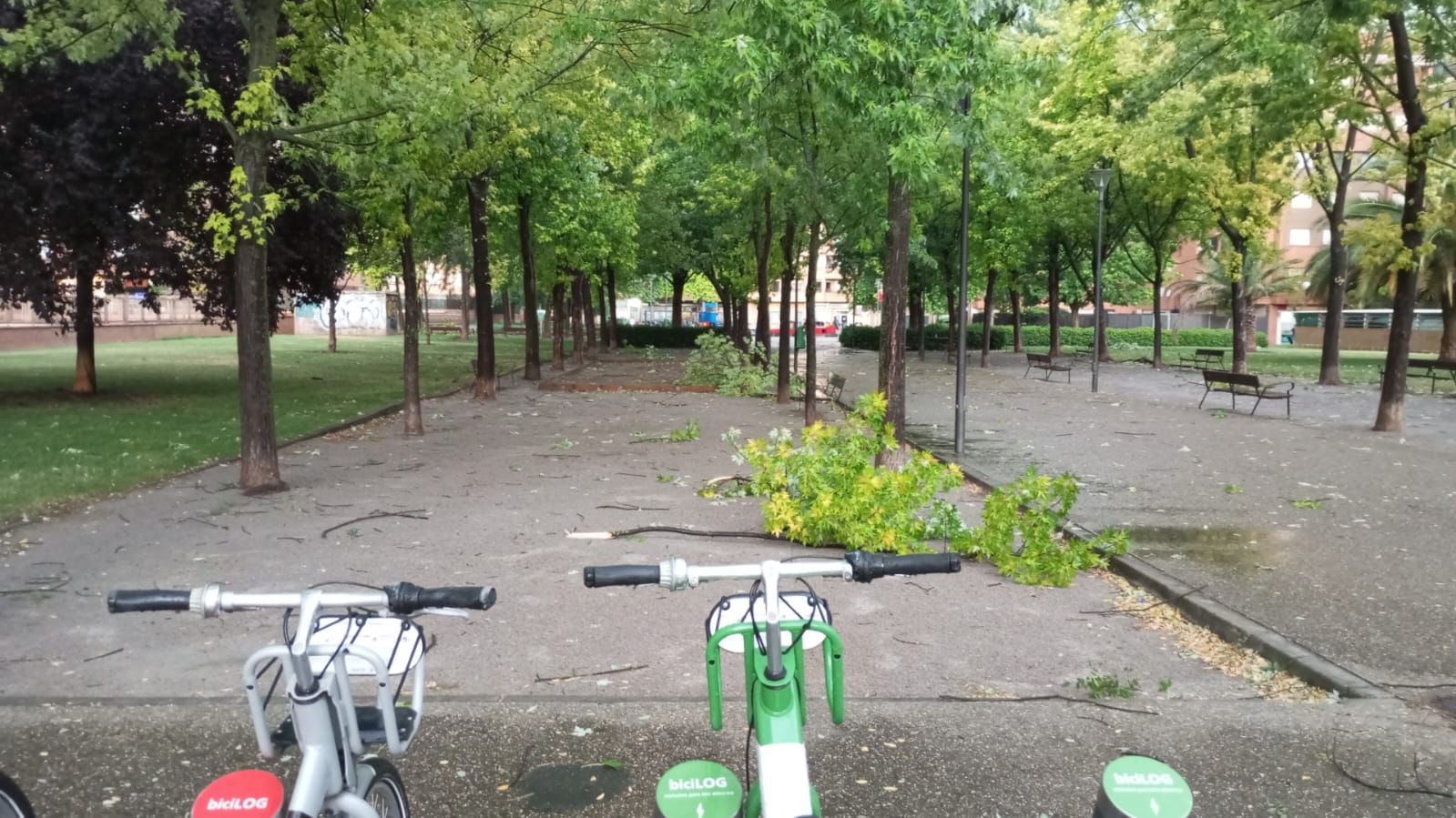 Las imágenes de la fuerte tormenta caída en Logroño