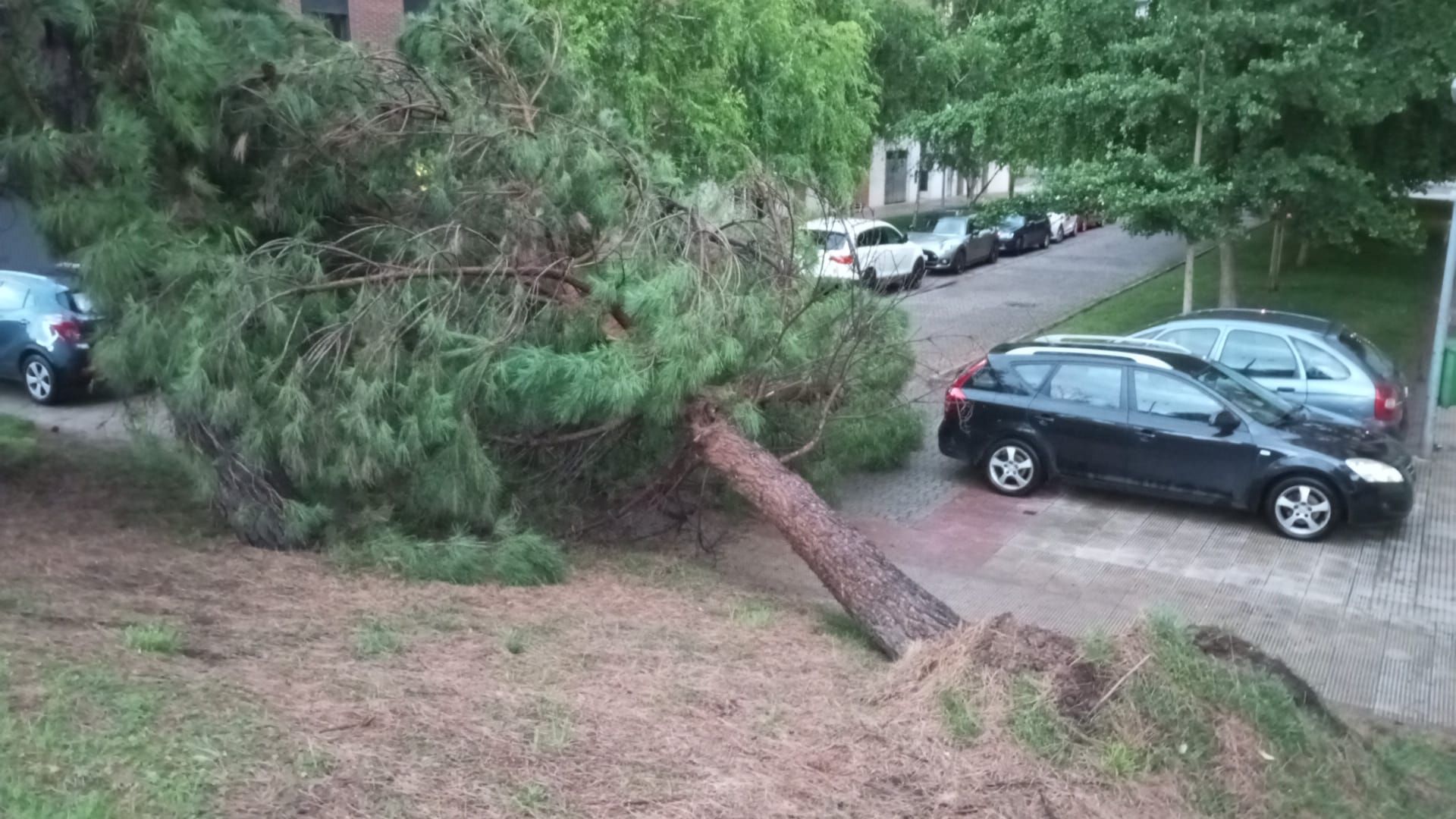 Las imágenes de la fuerte tormenta caída en Logroño