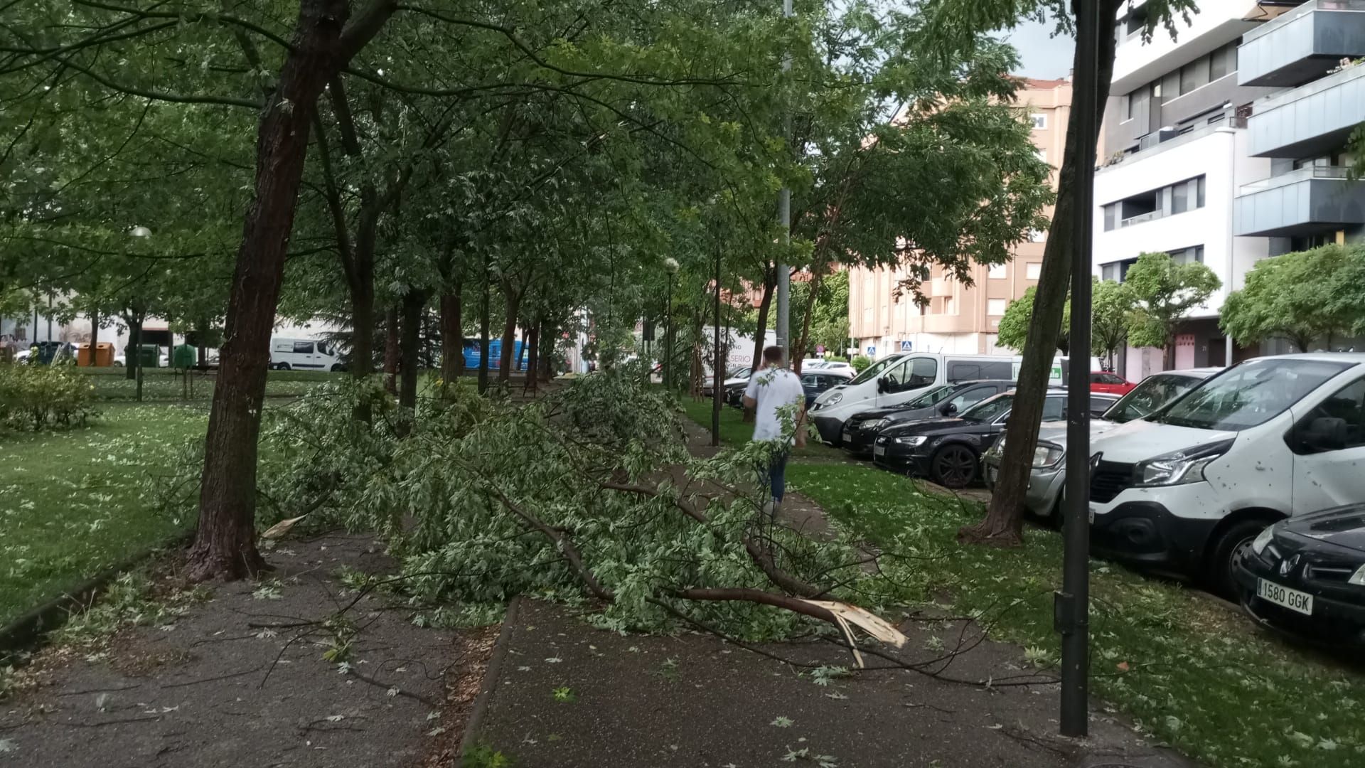 Las imágenes de la fuerte tormenta caída en Logroño