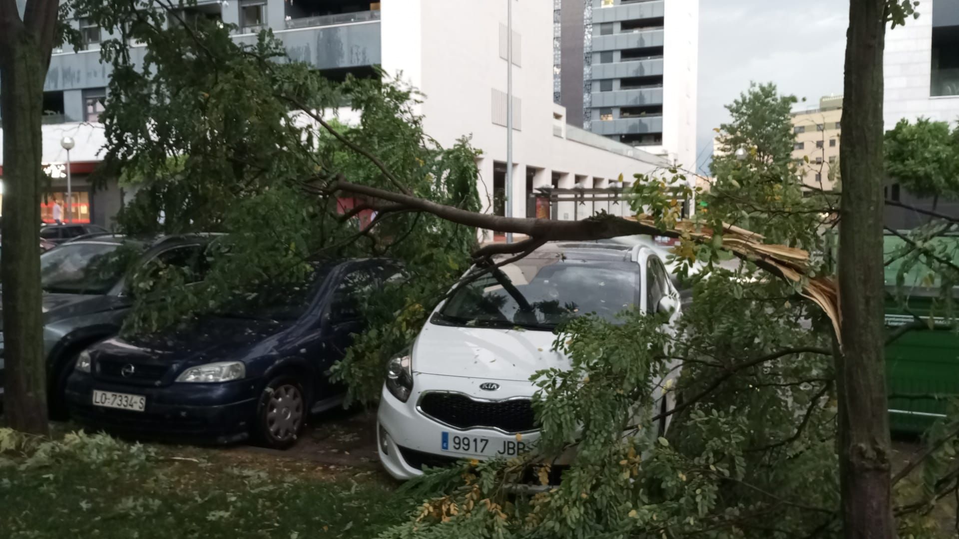 Las imágenes de la fuerte tormenta caída en Logroño