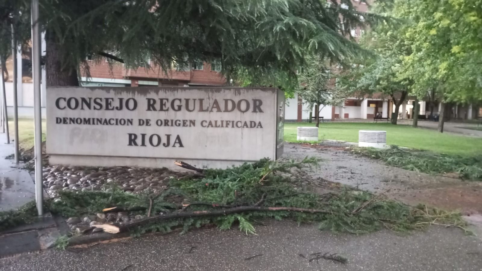 Las imágenes de la fuerte tormenta caída en Logroño