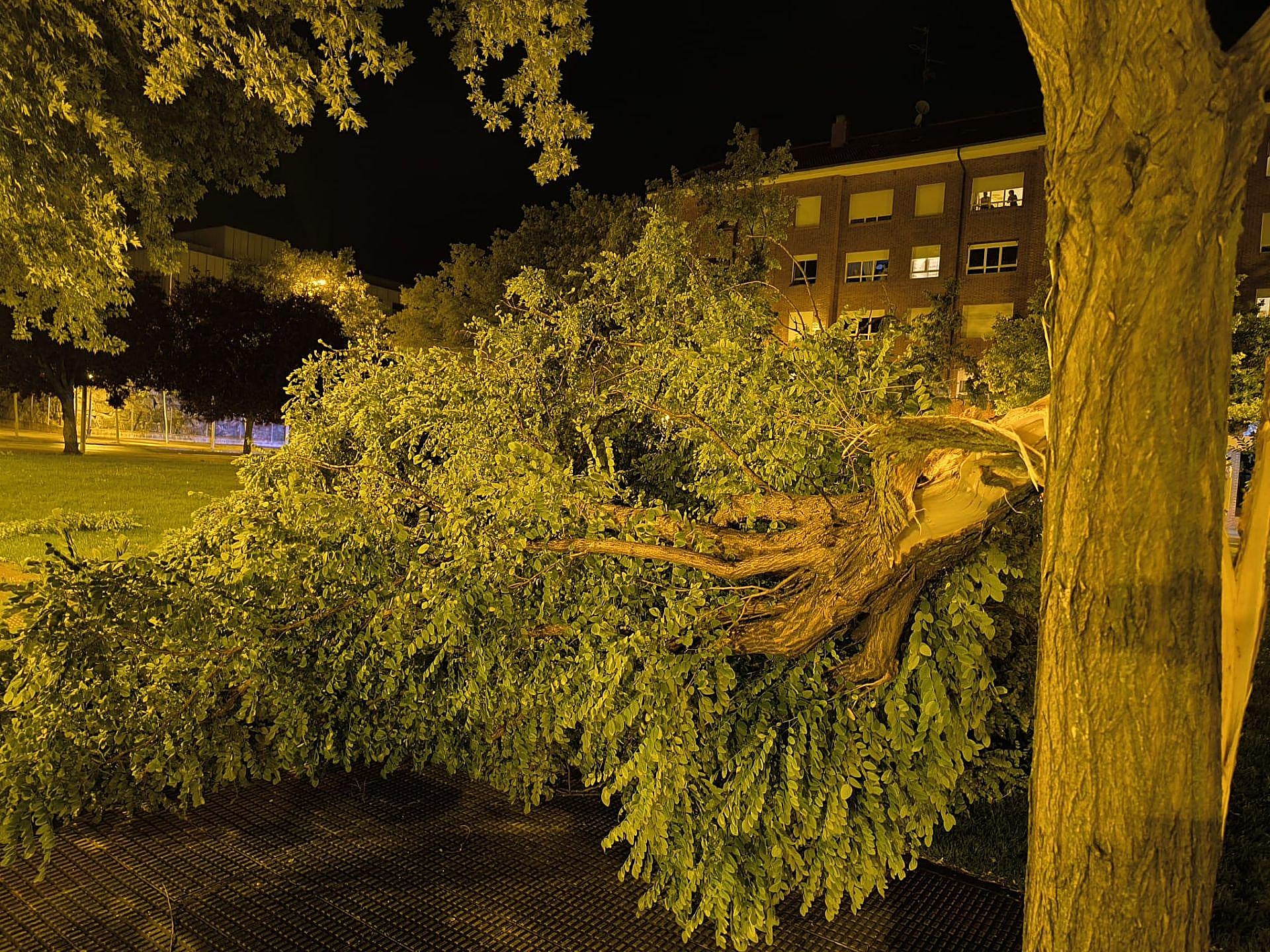 Las imágenes de la fuerte tormenta caída en Logroño