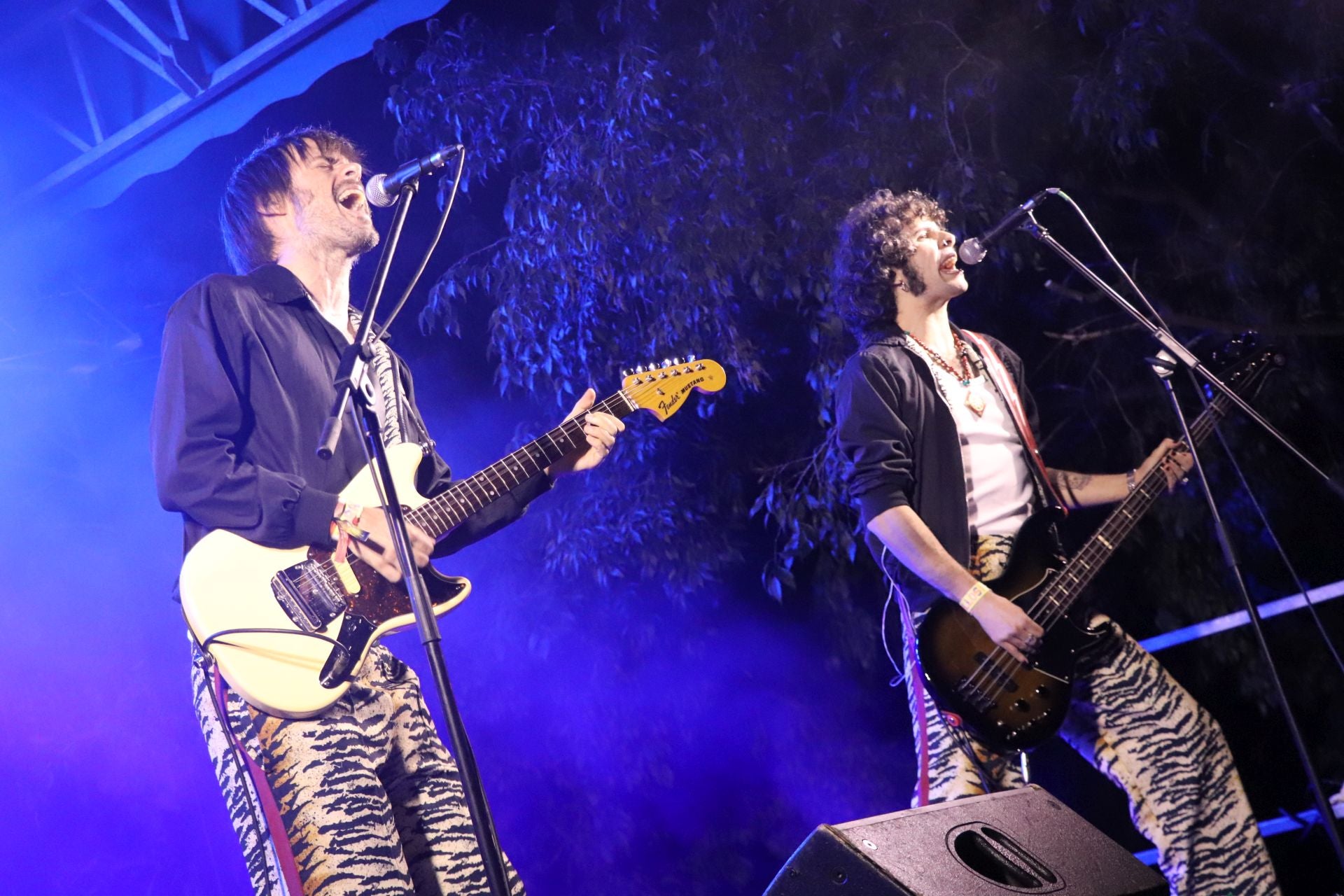 Las imágenes del Moradillos