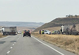 Los vehículos afectados, en los márgenes de la carretera.