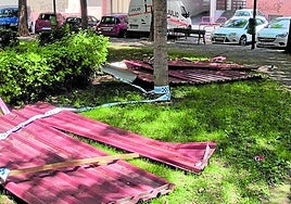 Unas chapas que llevan semanas sobre la hierba, hoy en La Guindilla.