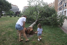 Las noticias imprescindibles