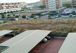 Una parcela sin desbrozar en la calle Fuenmayor, hoy en La Guindilla.