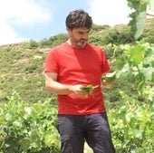 Julián Palacios, ingeniero agrónomo de Viticultura Viva, en un viñedo con muestras de los efectos del granizo y del mildiu.
