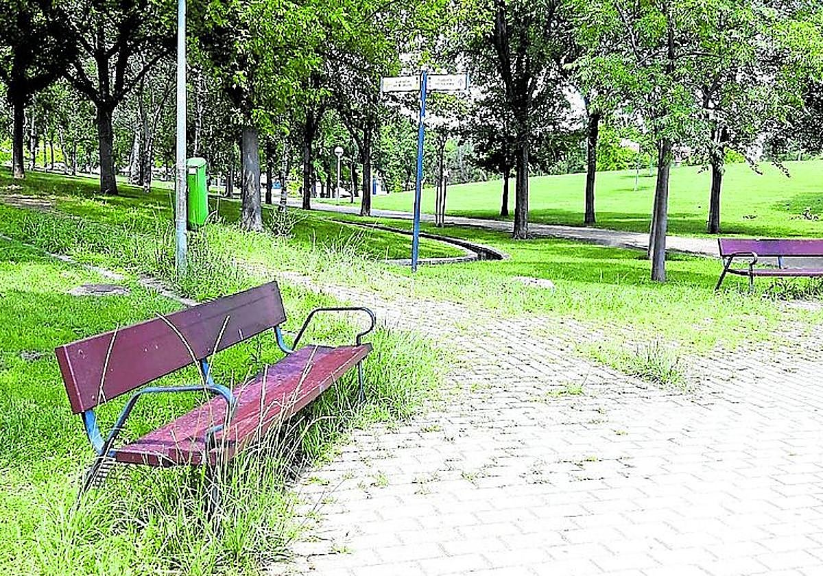 Hierbas demasiado altas en el parque San Miguel, hoy en La Guindilla.