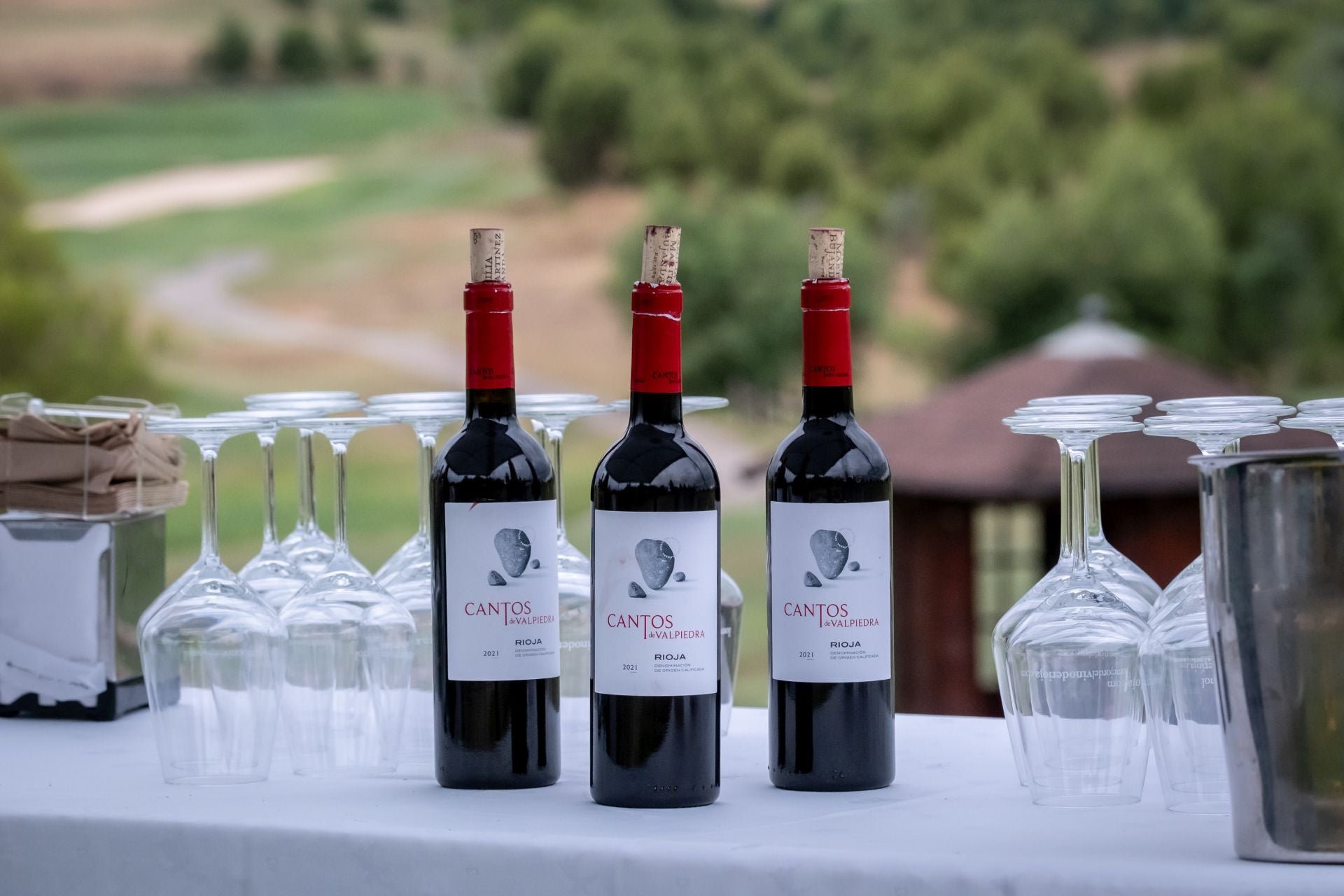 El Torneo Finca Valpiedra, en imágenes