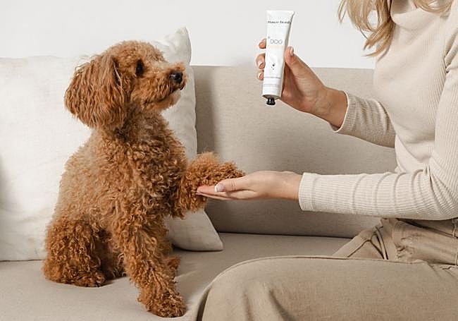 Leticia Ruiz muestra la crema a su perro.