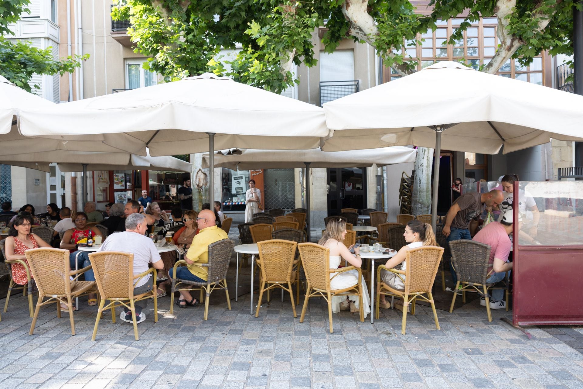 Tardeo en Bretón de los Herreros.