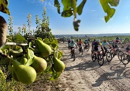 Imagen de la cita de ayer, sus primeros kilómetros, con los grandes protagonistas unidos.