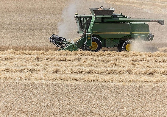 La puntilla para sectores como el del cereal, que ya sufre por su baja rentabilidad