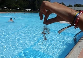 Matojo de pelos en una de las piscinas.