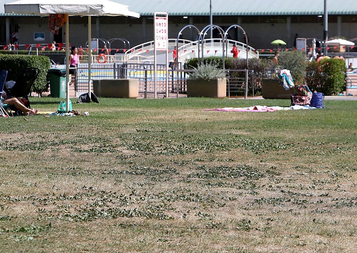 Imagen secundaria 1 - Tres imágenes del estado de la instalación. En una se ve uno de los árboles derribados por la dana, en otra, el estado del césped. En la última, dos empleados limpian una de las fuentes del complejo. 