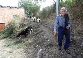 Julio Soto desciende de un pequeño pasto ubicado junto al casco urbano de Anguiano, donde suele llevar a pequeño rebaño