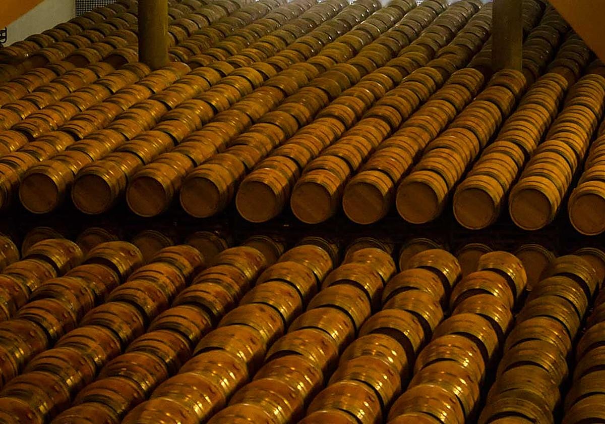 Parque de barricas de una bodega riojana.