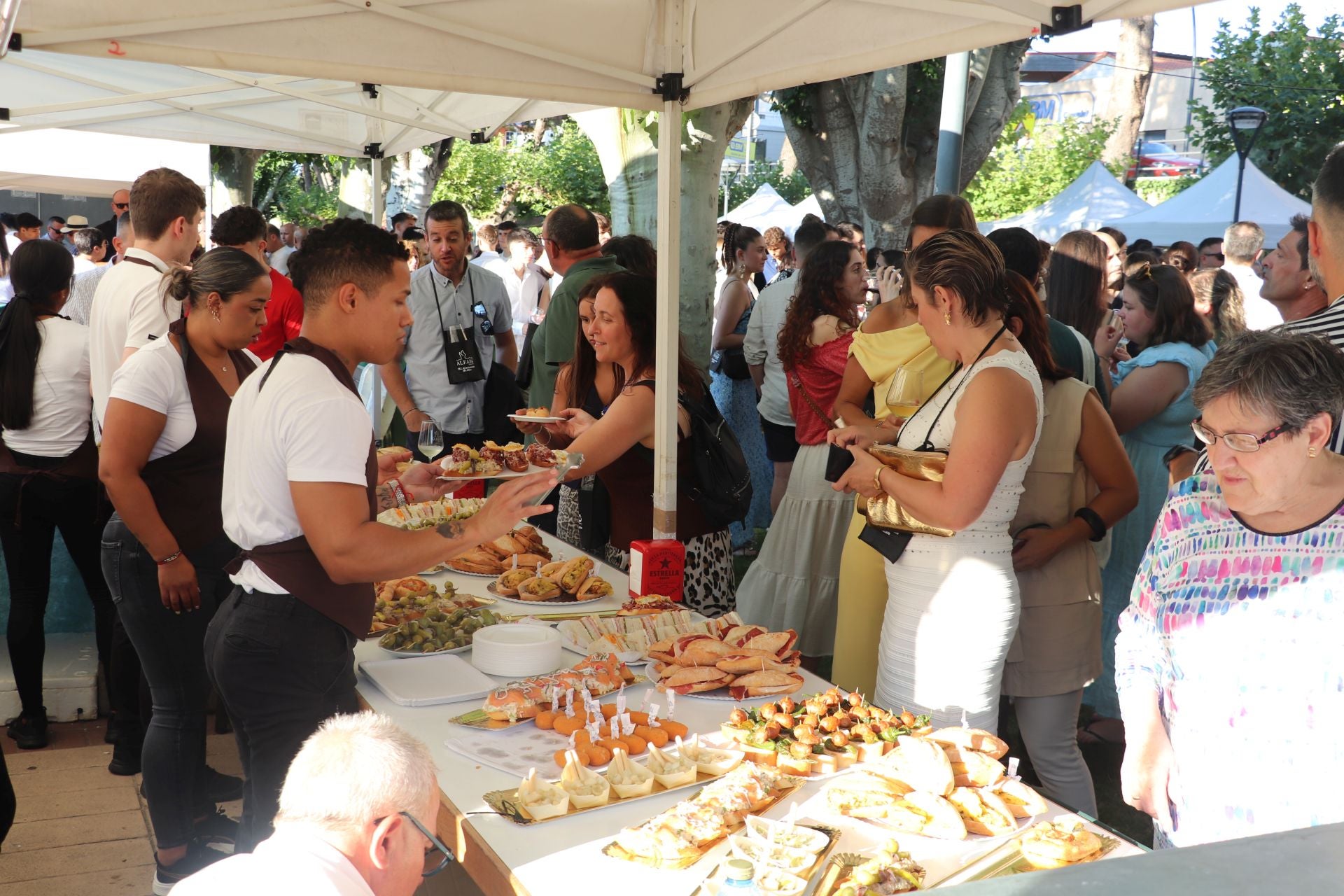Décimo cuarta edición del Bodegas en la Calle en Alfaro