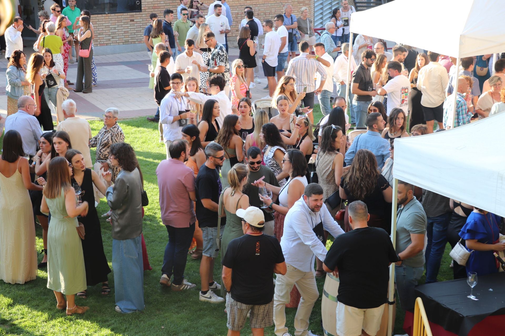 Décimo cuarta edición del Bodegas en la Calle en Alfaro