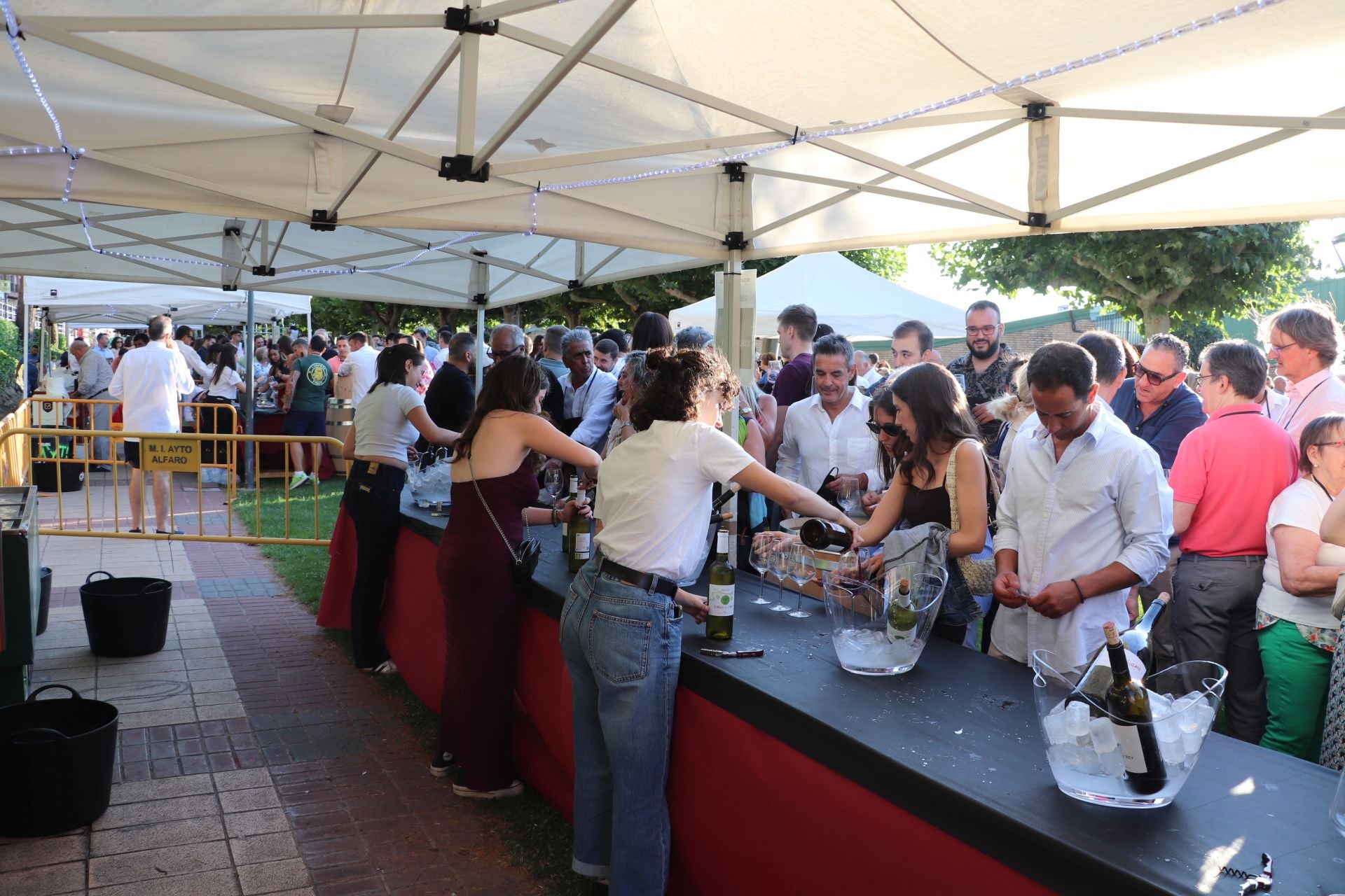 Décimo cuarta edición del Bodegas en la Calle en Alfaro