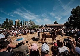 Una mirada al pasado agrícola con la Molienda