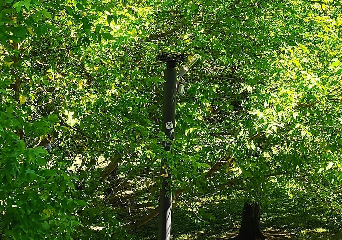Más actividades para jóvenes y quejas por el ruido de los coches: el Teléfono del Lector de hoy