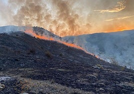 Las llamas en el monte del término municipal de Cornago.