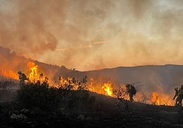Los bomberos tratan de sofocar un incendio declarado cerca de Valdeperillo.