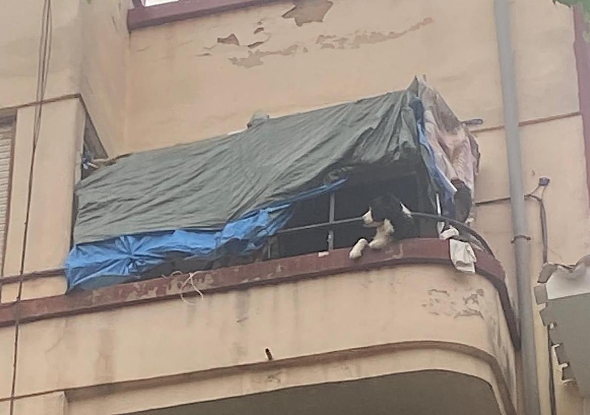 Socavones, agradecimientos y centros de estética, en el Teléfono del Lector de hoy