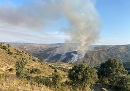 Humo en el incendio de Valdeperillo.