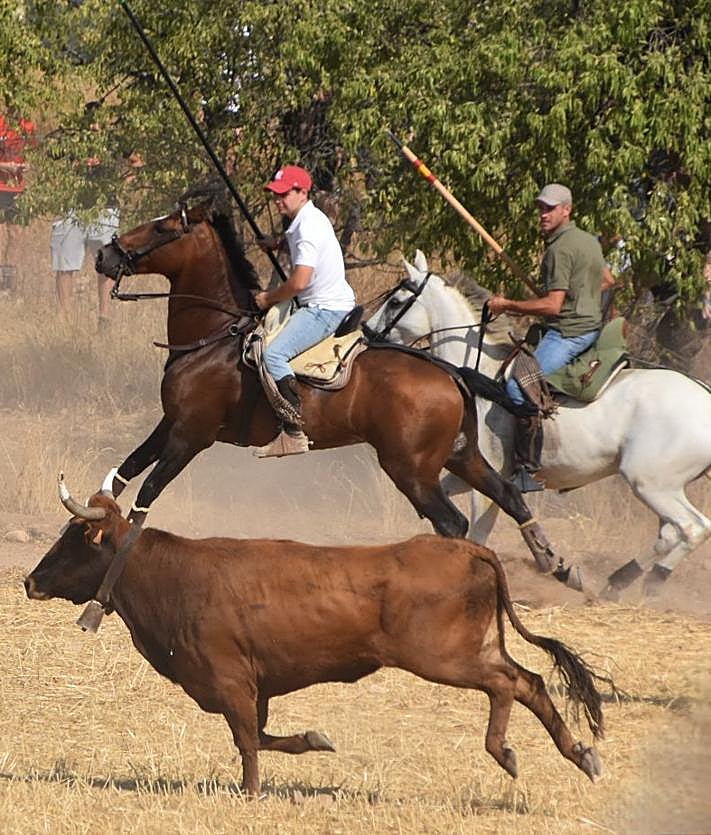 Imagen secundaria 2 - Valverde disfruta de su evento más popular