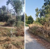 Quejas por la suciedad y las obras previstas en la capital riojana, en el Teléfono del Lector