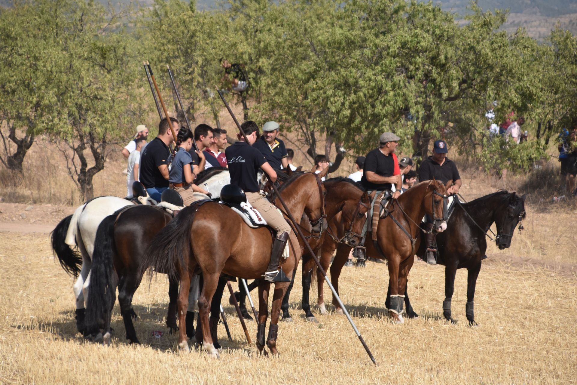 La saca de vacas de Valverde