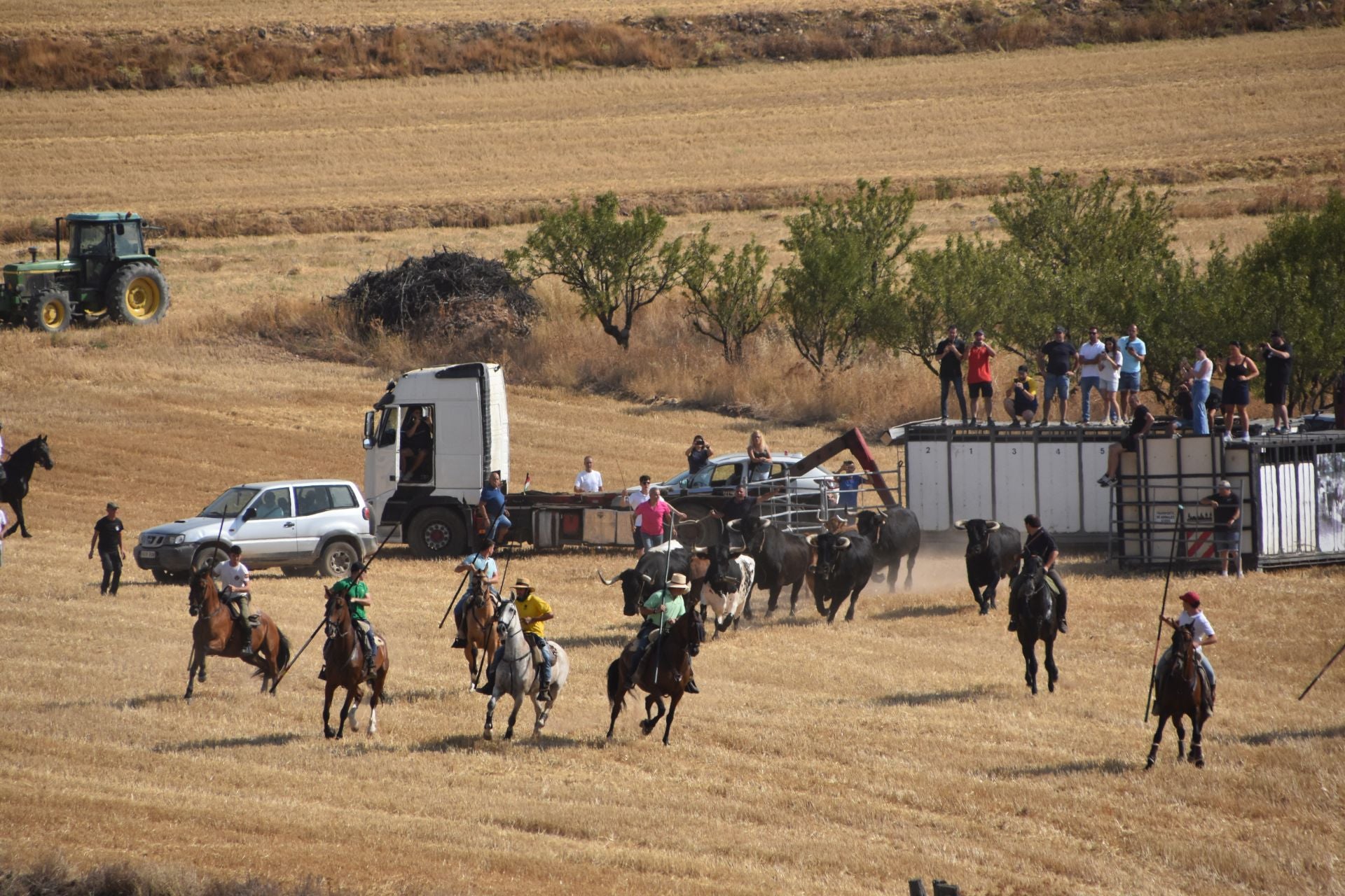 La saca de vacas de Valverde