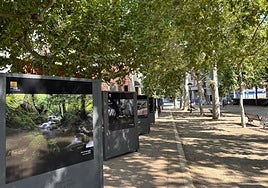 Exposición itinerante de la XVIII edición del Concurso Fotográfico Naturaleza de La Rioja en el paseo San Julián de Nájera.