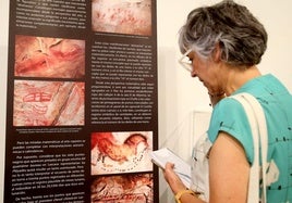 Ante uno de los paneles informativos de la exposición 'En los orígenes'.