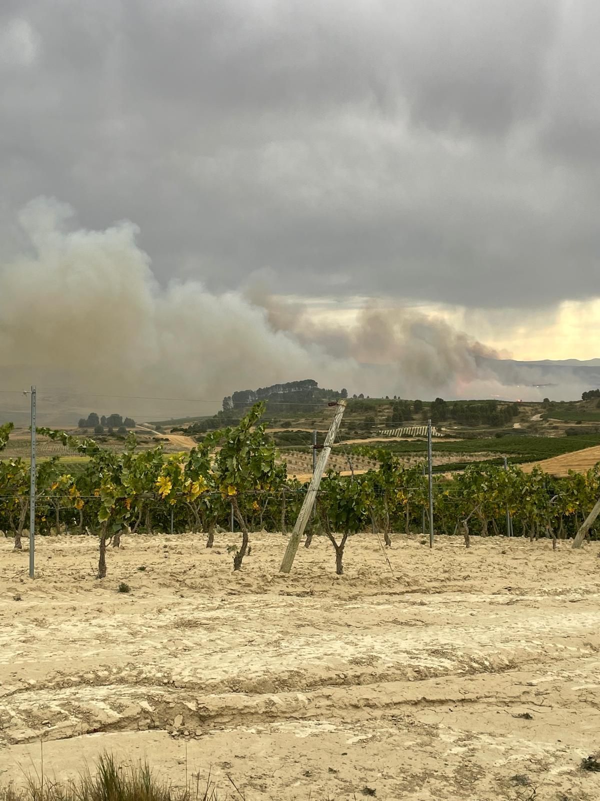 El fuego ha afectado el término municipal de Fonzaleche.
