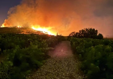 La Rioja arde por los cuatro costados con hasta ocho incendios declarados en la misma tarde