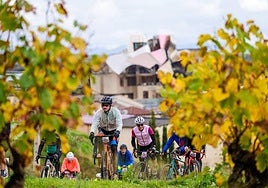 Varios ciclistas recorren los viñedos de Elciego en la pasada edición.