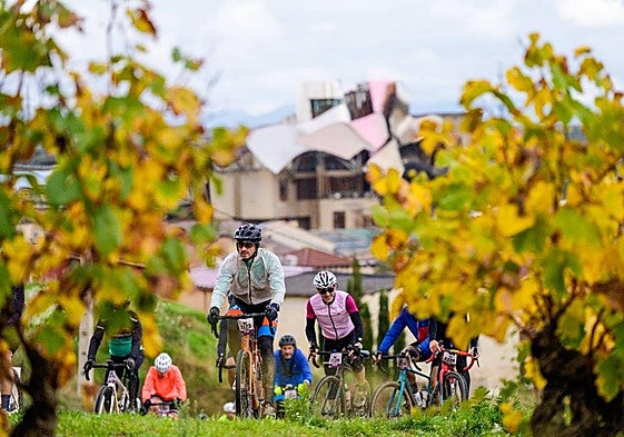 Varios ciclistas recorren los viñedos de Elciego en la pasada edición.